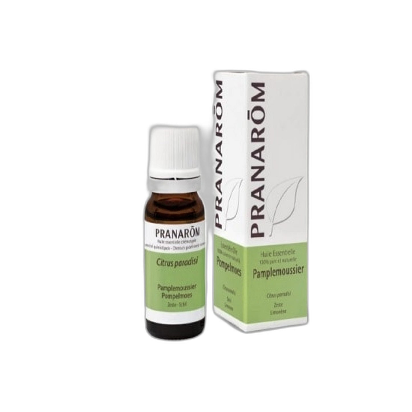 【Pranarôm】迷迭香樟腦醇型(Rosmarinus officinalis CT cineole)精油 10 mL <0.3 fl oz>