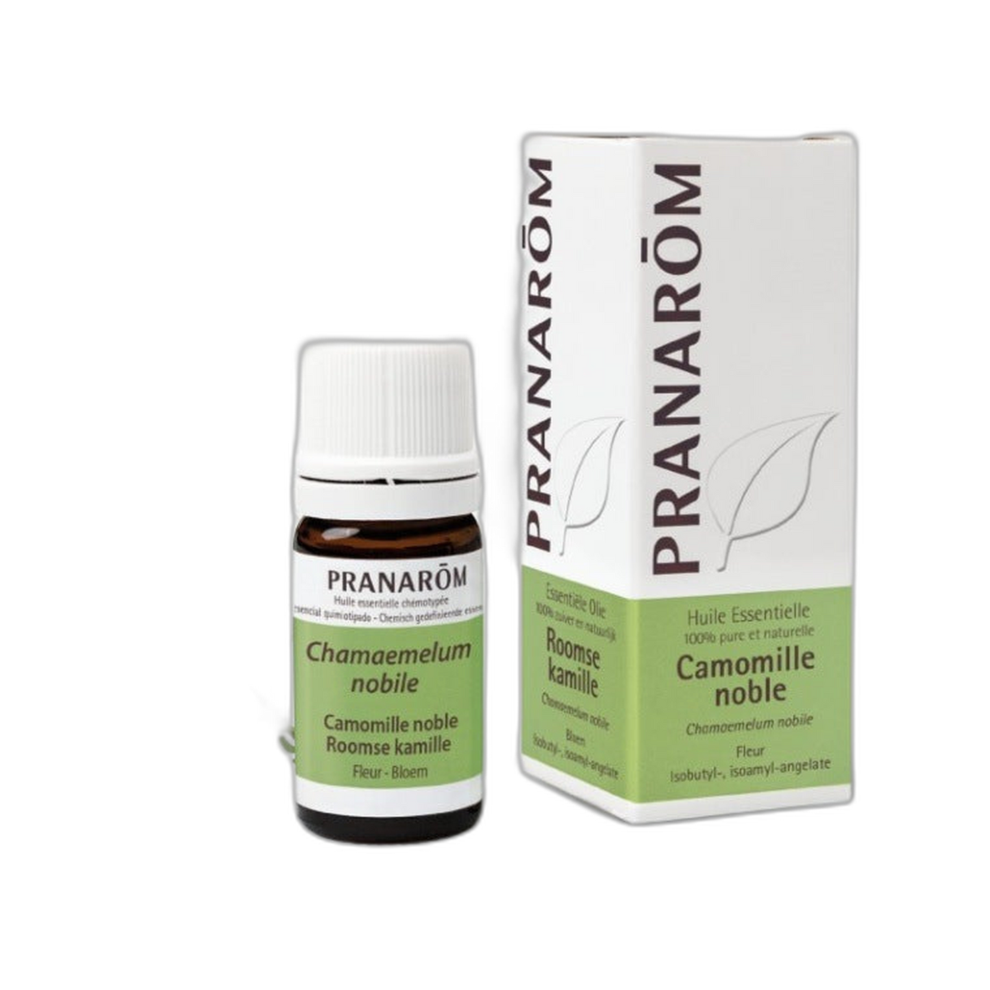 【Pranarôm】유기농 로만 카모마일 (Chamaemelum nobile) 에센셜 오일 5 mL <0.2 fl oz>