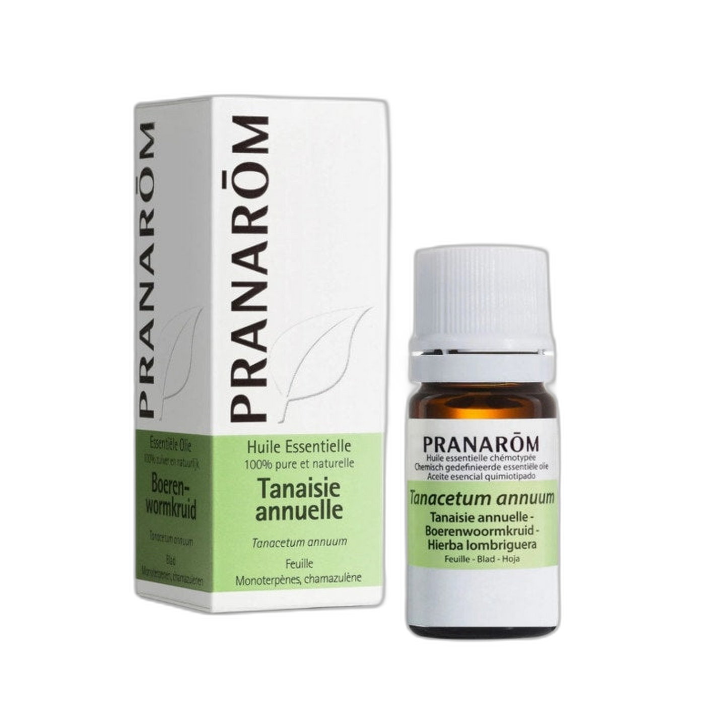 【Pranarôm】藍艾菊 (Tanacetum annuum) 精油 5 mL <0.2 fl oz>