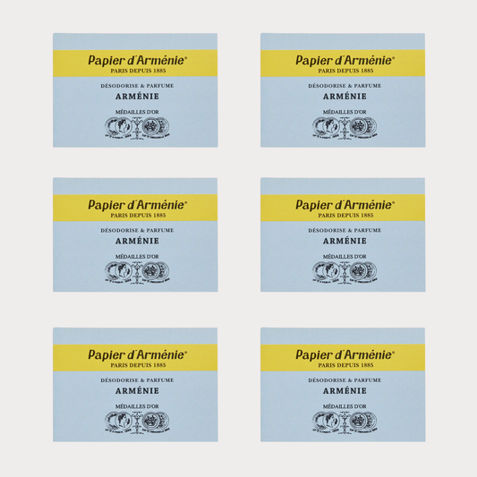 【Papier d'Arménie】Année de l'Arménie Incense Paper - 6 Booklets Set (Total 216 Strips)