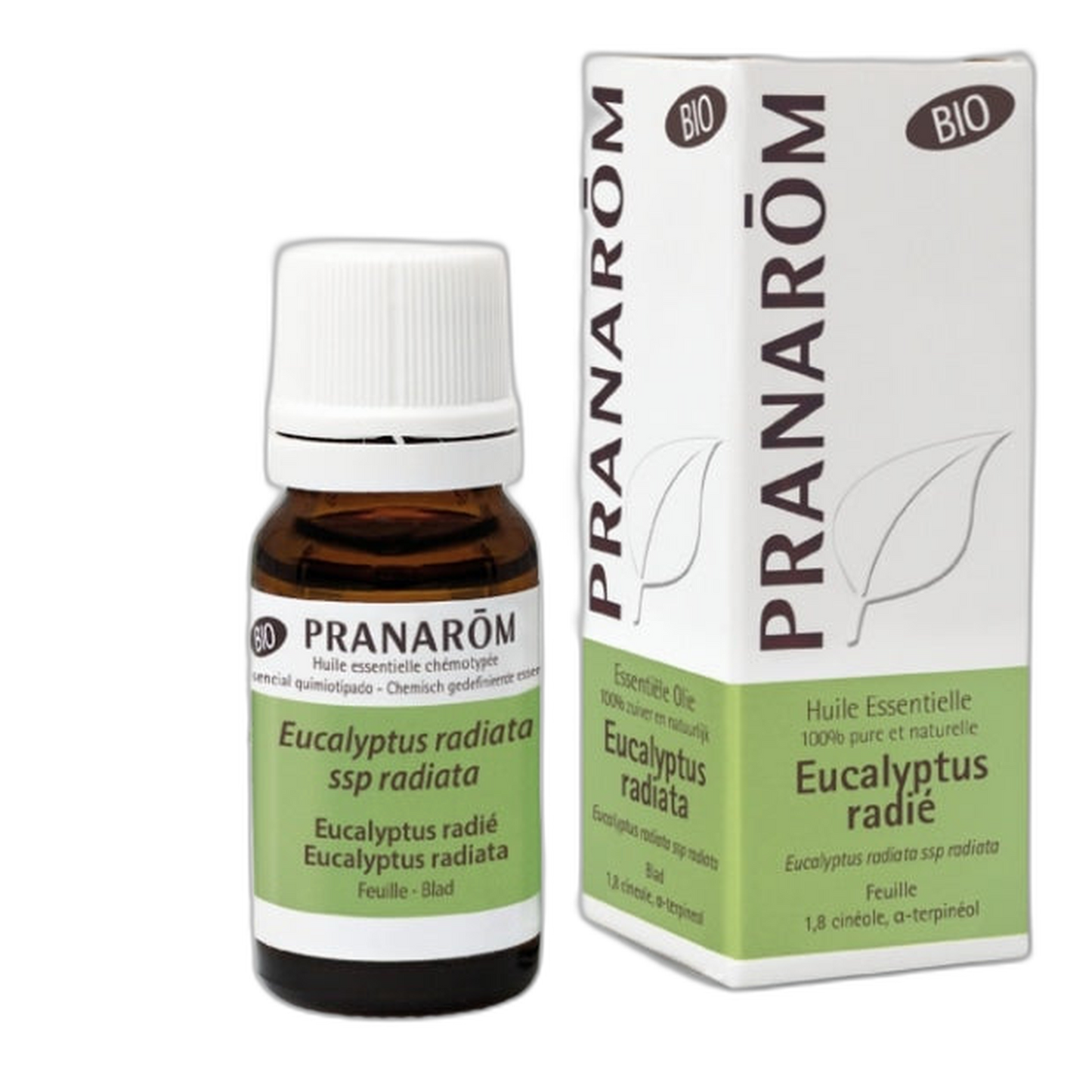 【Pranarôm】Huile Essentielle d'Eucalyptus Radiata 10 mL <0.3 fl oz>