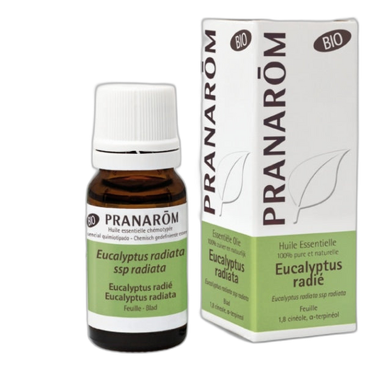 【Pranarôm】Pranarom Eucalyptus Radiata Essential Oil 10 mL <0.3 fl oz>
