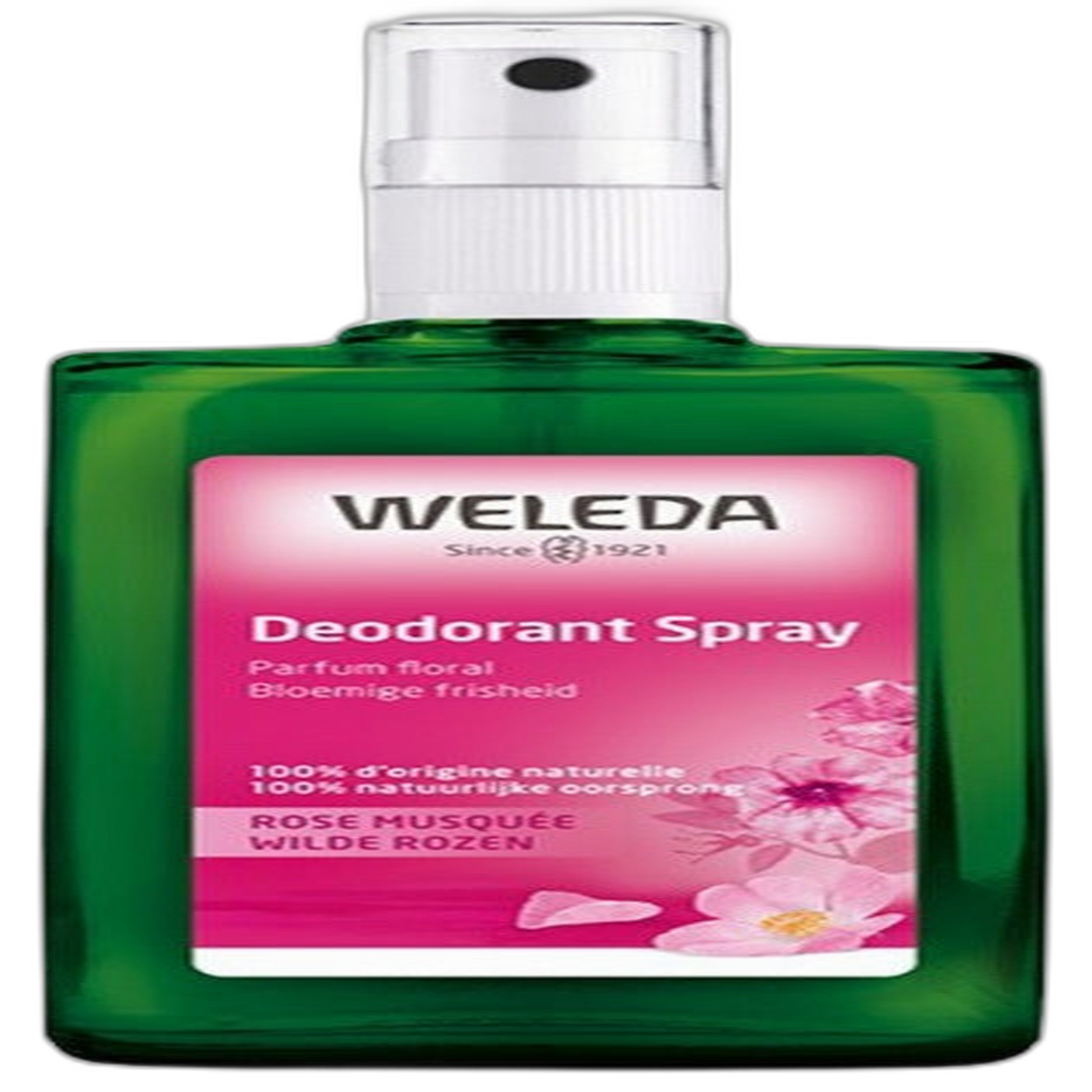 【Weleda】Déodorant Rose 100 mL <3.38 fl oz>