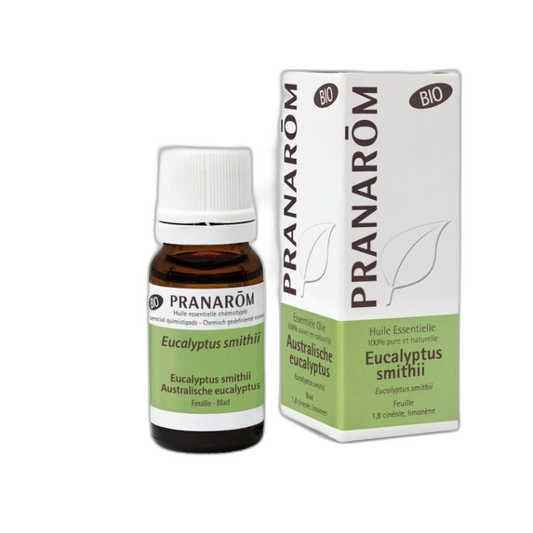 【Pranarôm】Eucalyptus Smithii Organic 10 mL <0.3 fl oz>