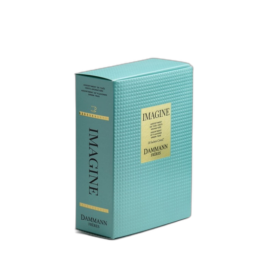 【Dammann Frères】Gift Set “Imagine” - 20 Flavored Green Tea Bags (Assortment)