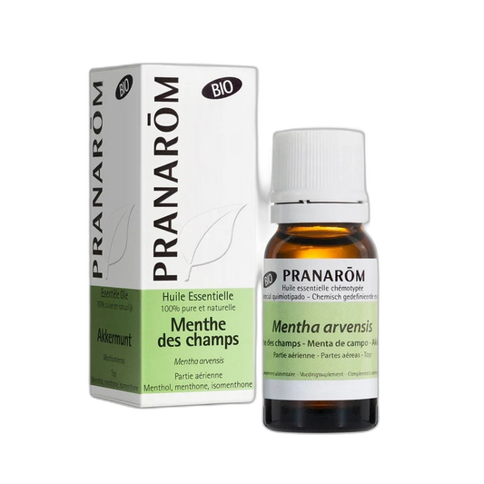【Pranarôm】Organic Field Mint Essential Oil (Mentha Arvensis) 10 mL <0.3 fl oz>