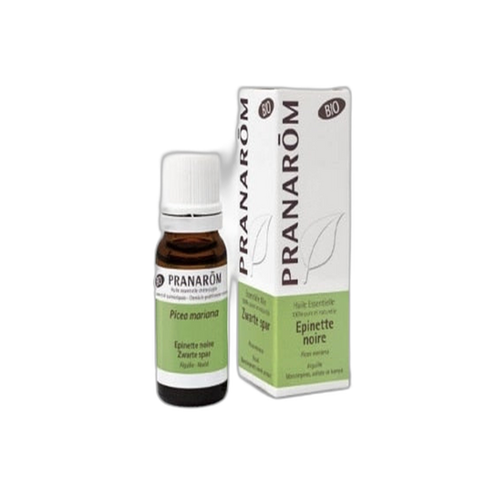 【Pranarôm】Pranarom Black Spruce Essential Oil (Picea Mariana) Organic 10 mL <0.3 fl oz>