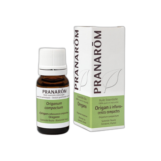 【Pranarôm】Essential Oil Oregano With Compact Flowers (Origanum Compactum) 10 mL <0.3 fl oz>